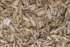 biomass boilers Pontywaun